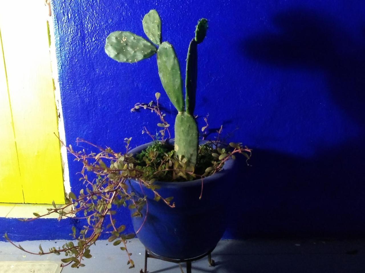 Lola Atlachinolli Sayulita Dış mekan fotoğraf
