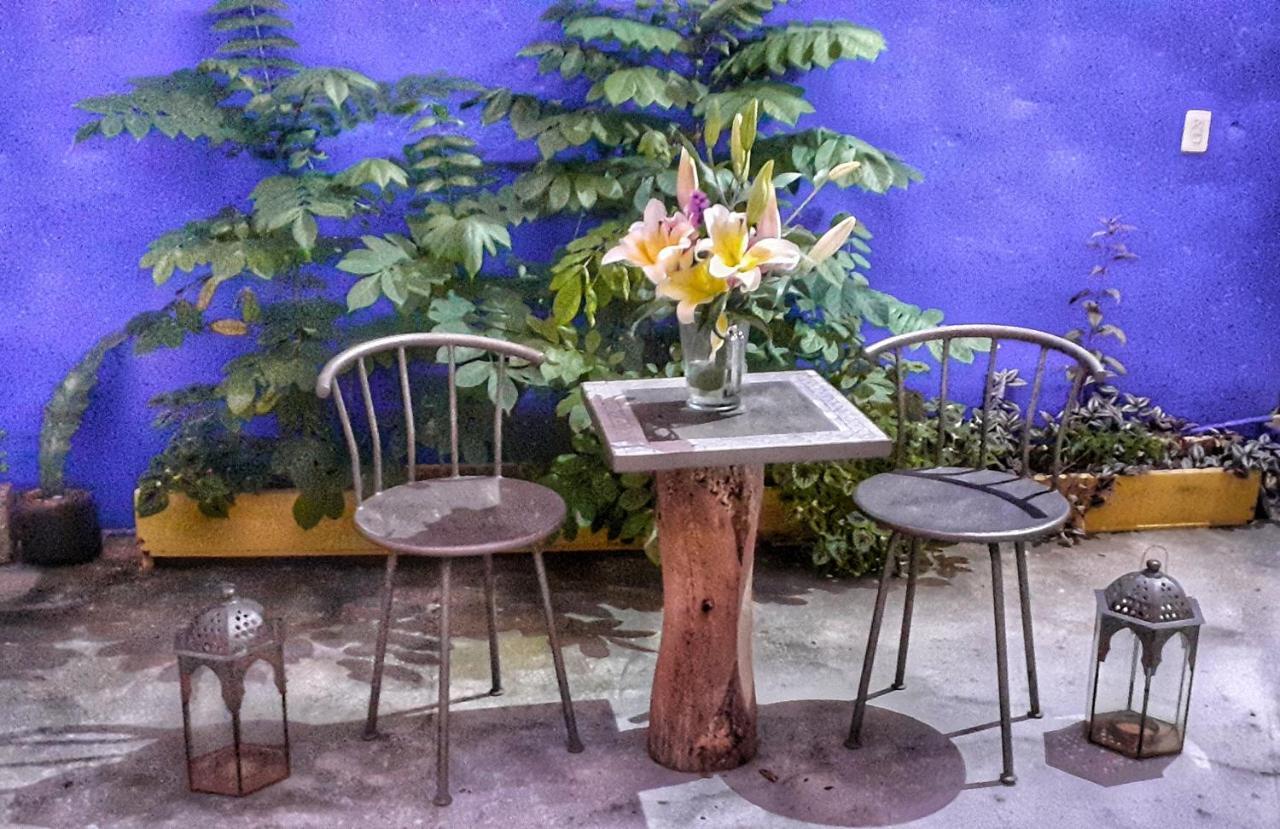 Lola Atlachinolli Sayulita Dış mekan fotoğraf